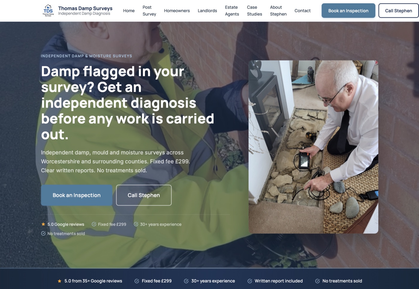Thomas Damp Surveys website preview